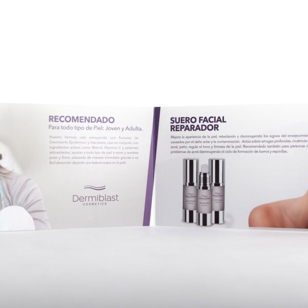 Brochure tipo díptico horizontal