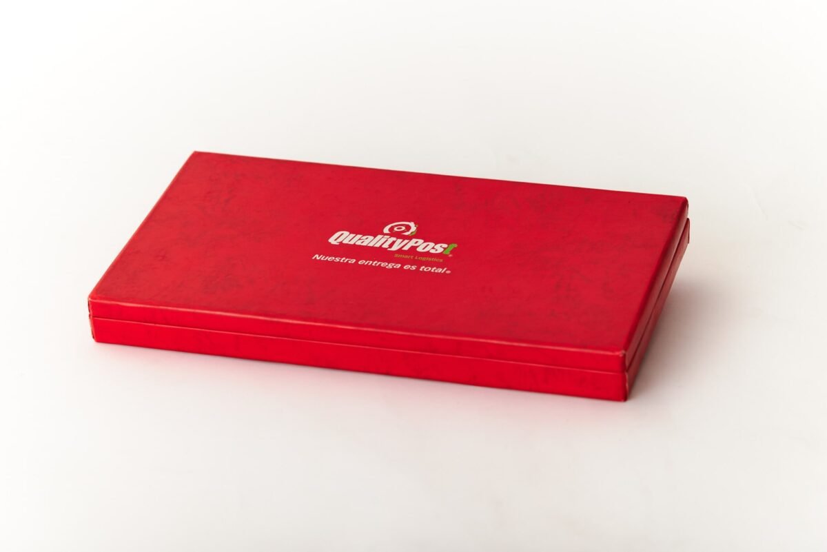 Caja rígida | 3 contenedores | cerrado a presión