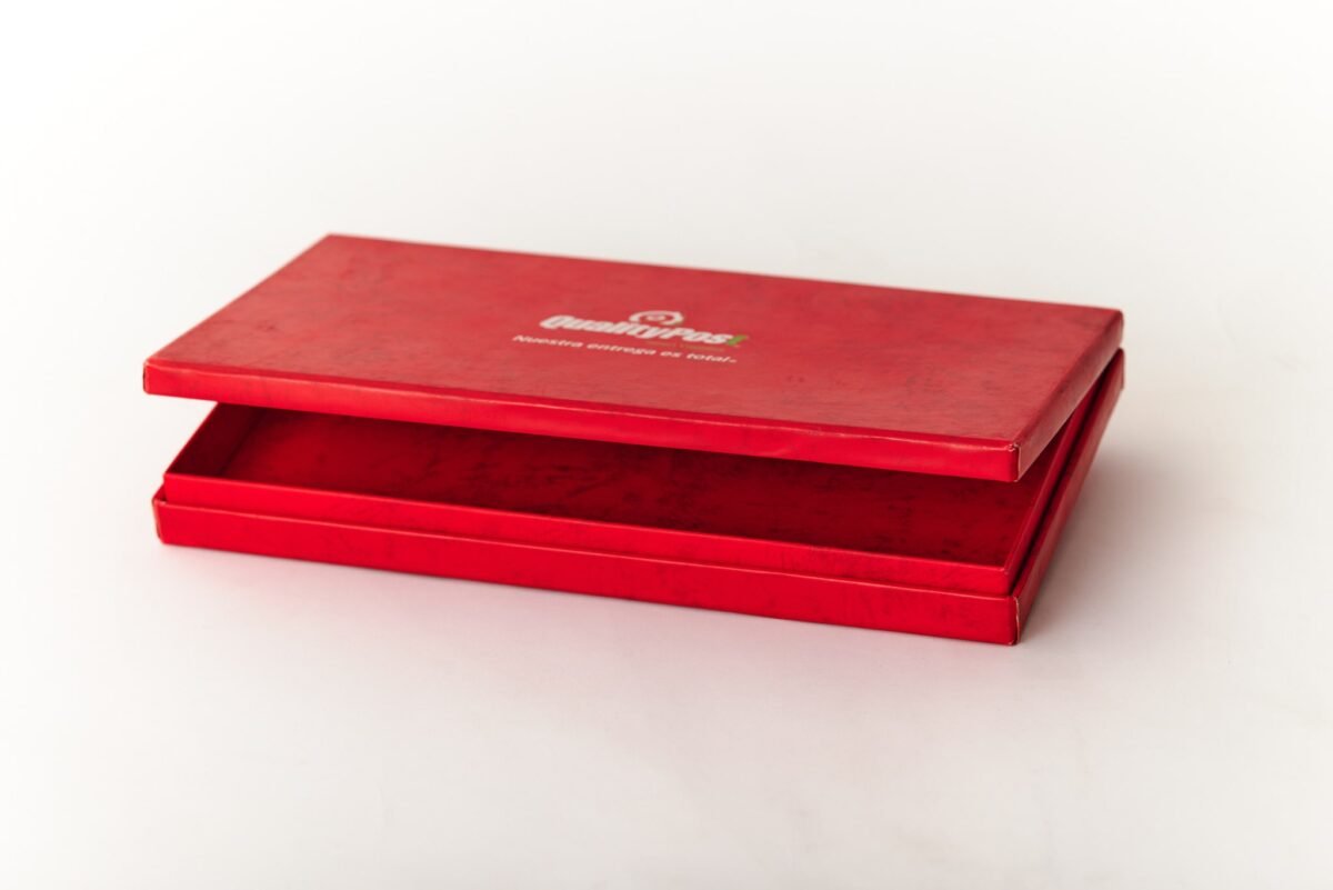 Caja rígida | 3 contenedores | cerrado a presión