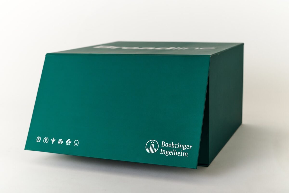 Caja rígida cerrada con imán