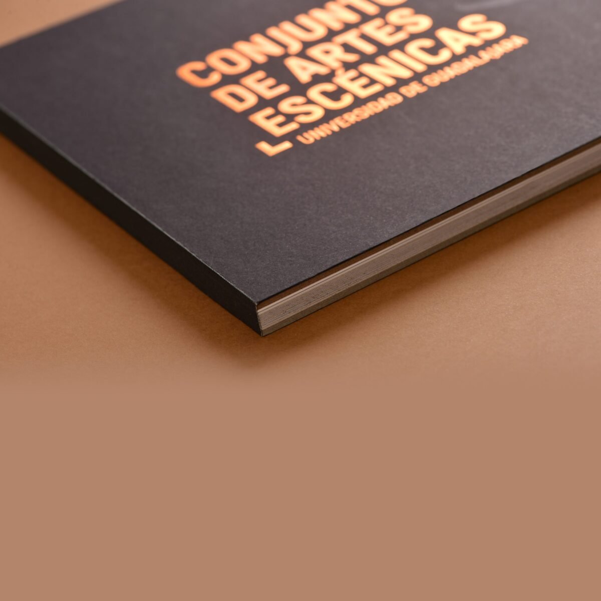 Libro pasta dura con encuadernado panorámico (lay flat) y hot stamping